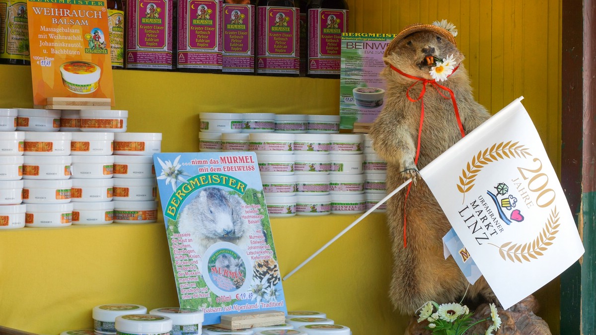 O Fotomagazin I  200. Urfahraner Markt 2017 / Heilprodukte von Bergmeister